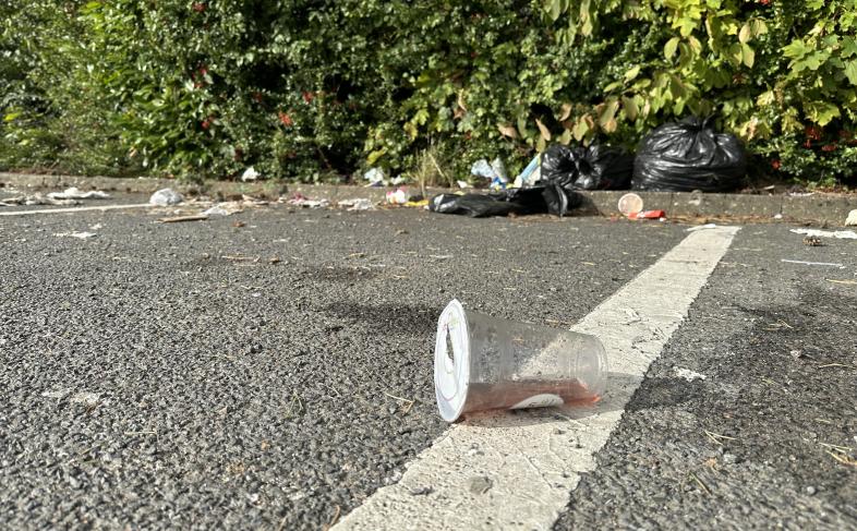 Picture of a paved area and litter
