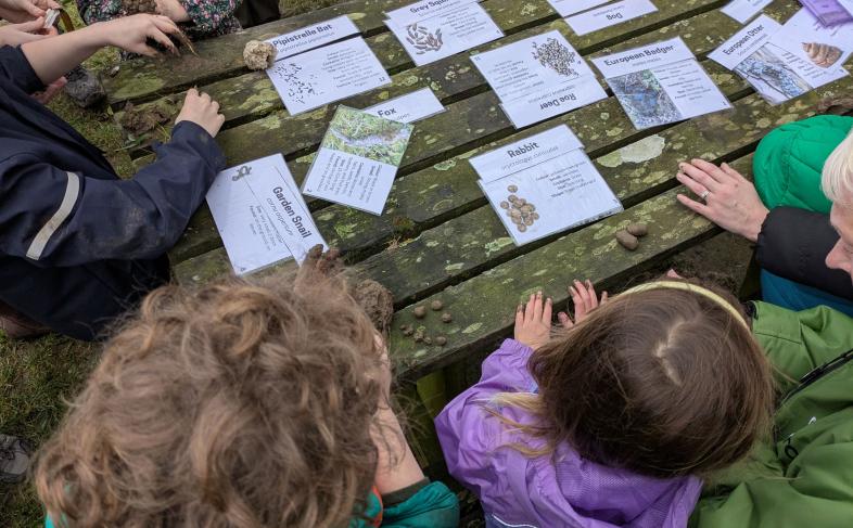 Wildlife tracking with children looking at info cards