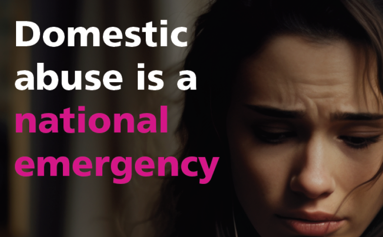 Domestic abuse is a national emergency.
