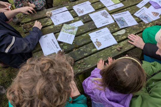 Wildlife tracking with children looking at info cards