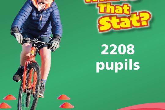 What's That Stat? 2208 pupils