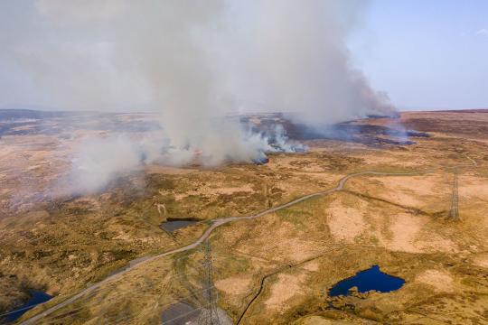 Wildfire